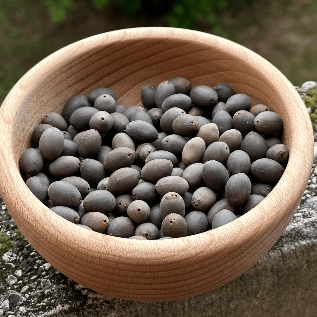 Ciotola di legno con semi di loto essiccati, simbolo di fertilità, purezza e rinascita