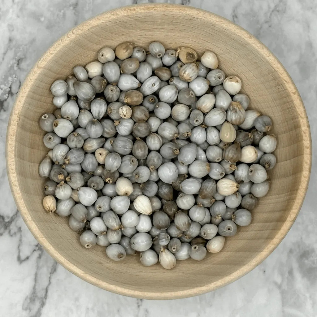 Ciotola di legno con semi di Vaijayanti pronti per essere intrecciati in una japamala sacra.