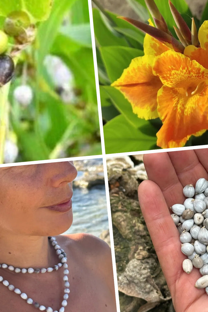 Collage simbolico dei Semi di Vaijayanti e della Japamala – emblema di grazia, vittoria spirituale e armonia nelle creazioni Umadevi