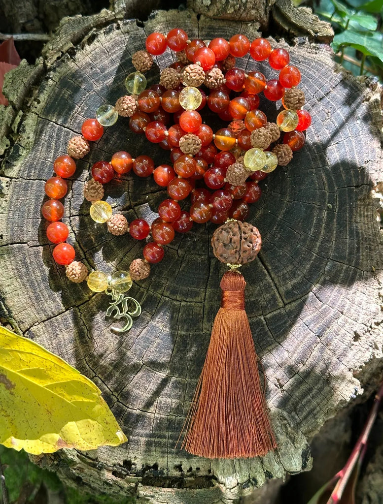 Japamālā Diwali in Rudrākṣa, Corniola e Quarzo Citrino adagiata su un tronco tra foglie autunnali.