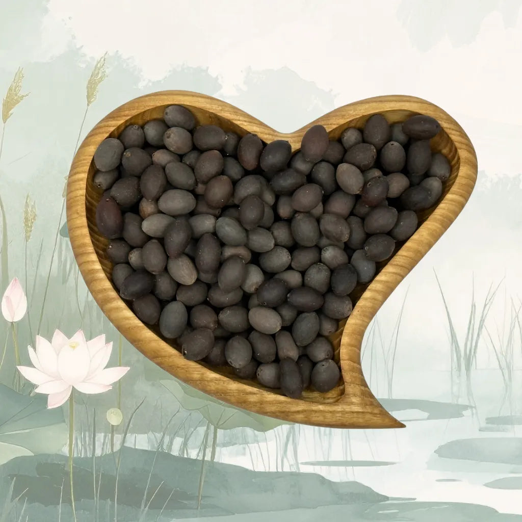 Seme di Loto Japamala Umadevi – purezza, risveglio e pace interiore