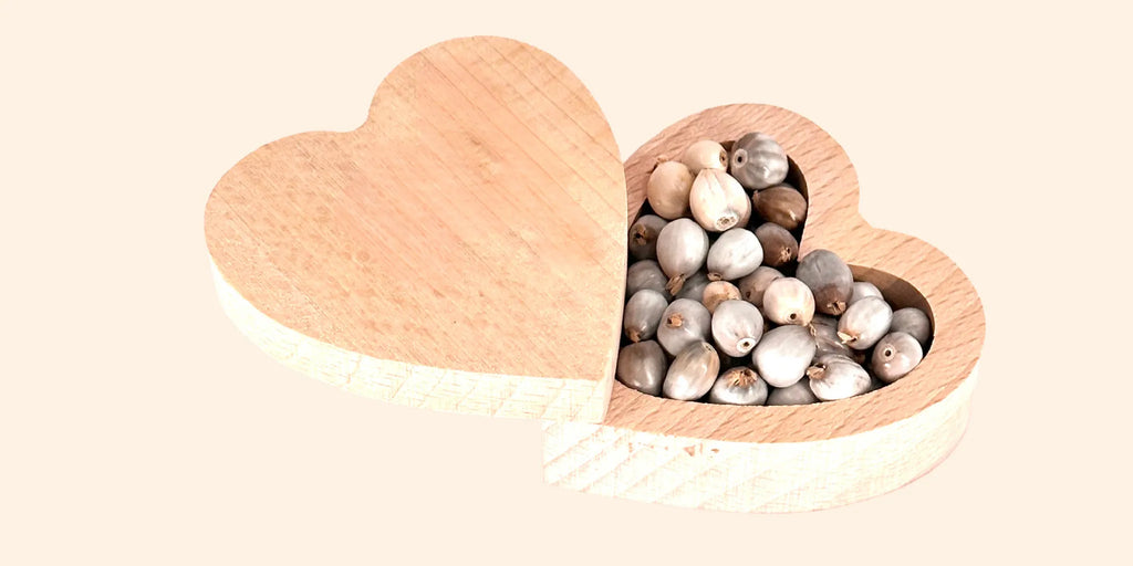 Semi di Vaijayanti – simbolo di vittoria spirituale, armonia e grazia divina nelle creazioni Umadevi