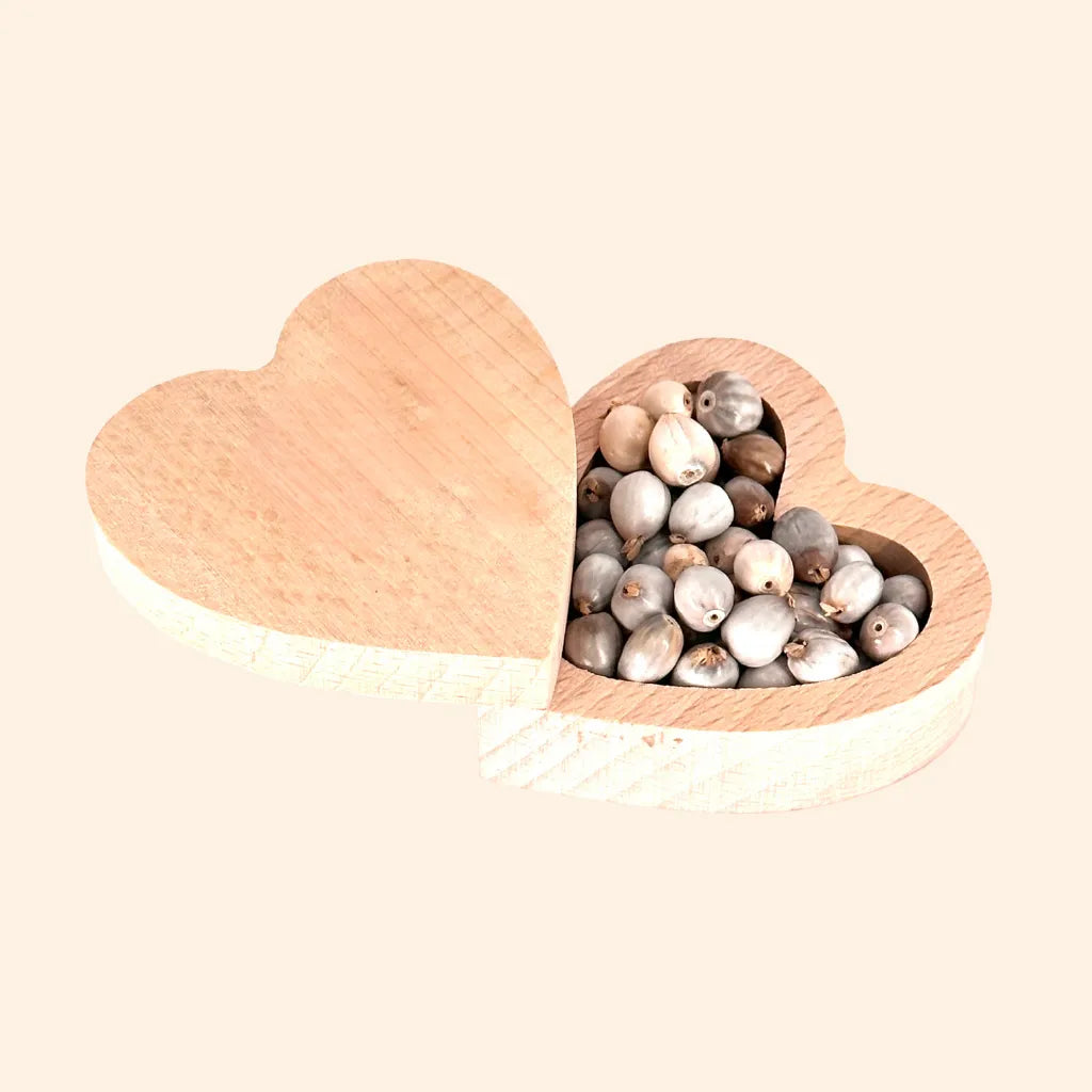 Semi di Vaijayanti – simbolo di vittoria spirituale, armonia e grazia divina nelle creazioni Umadevi