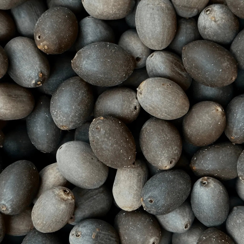 Primo piano dei semi di loto essiccati, pronti per essere intrecciati in una japamālā