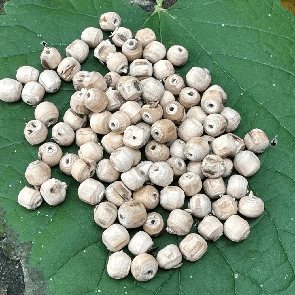 Semi di Tulsi su una foglia – simbolo di purezza, devozione e connessione spirituale nelle creazioni Umadevi