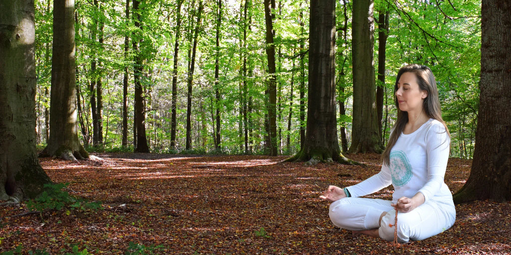 Meditazione nel bosco, armonia tra mente, respiro e natura – Umādevī