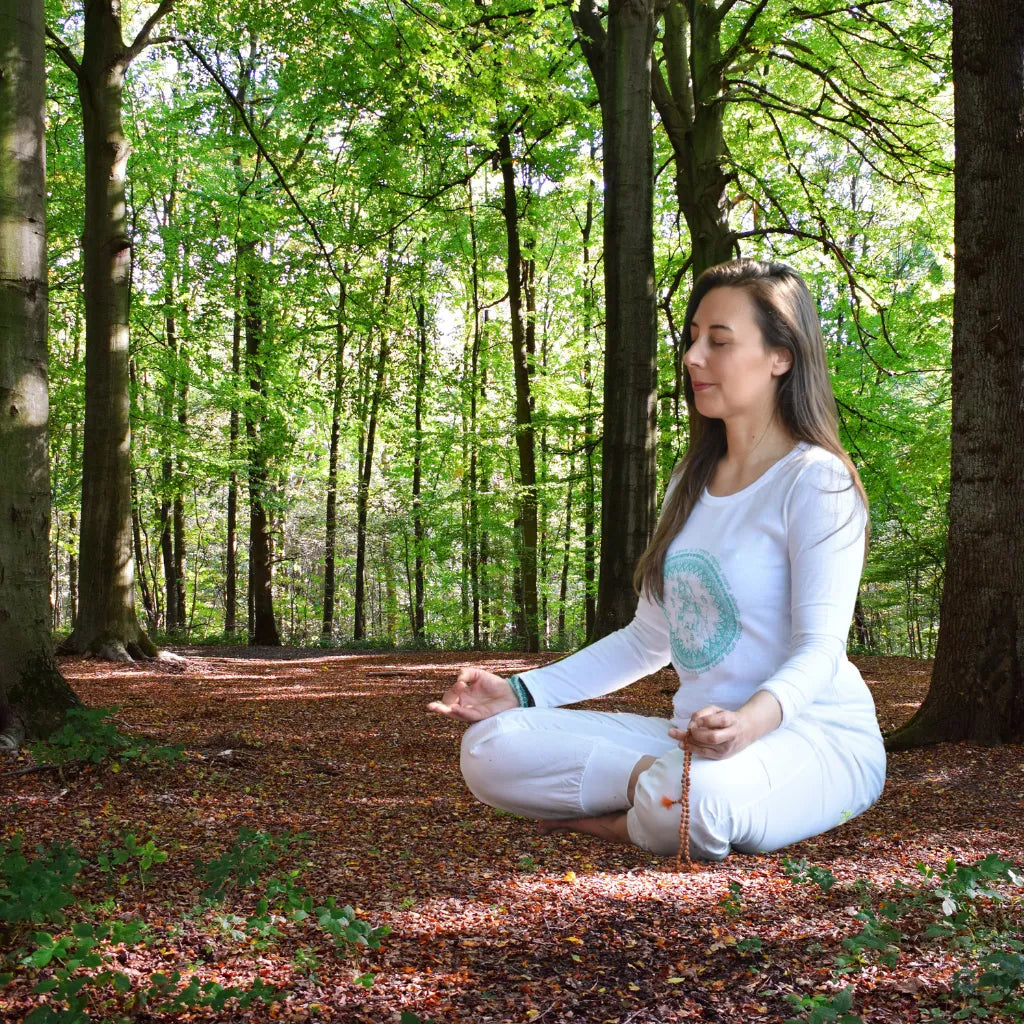 Meditazione nel bosco, armonia tra mente, respiro e natura – Umādevī