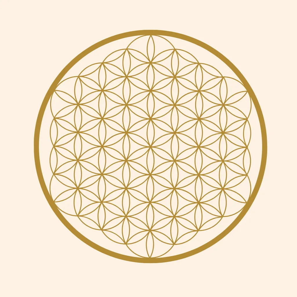 Simbolo del Fiore della Vita, emblema di armonia e creazione universale.