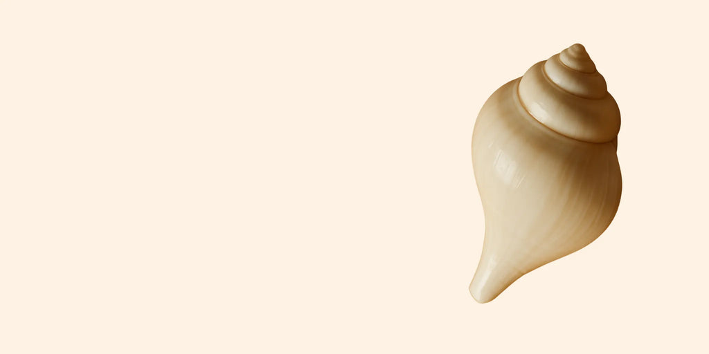 Simbolo dello Śaṅkha, conchiglia sacra di purezza e risveglio spirituale.