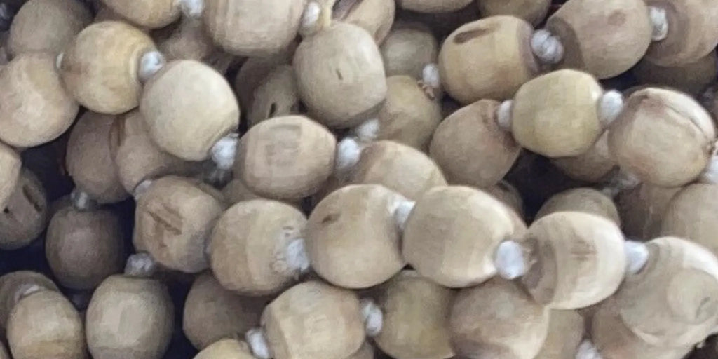 Semi di Tulsi in dettaglio – simbolo di purezza, devozione e connessione sacra nelle creazioni Umadevi