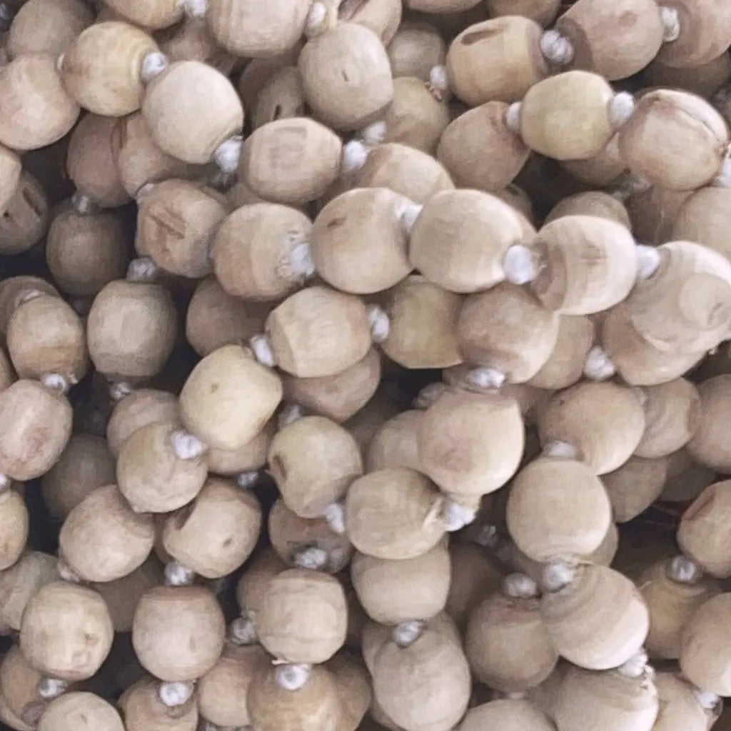 Semi di Tulsi in dettaglio – simbolo di purezza, devozione e connessione sacra nelle creazioni Umadevi